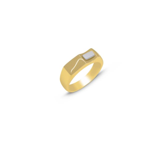 Ανδρικό δαχτυλίδι σε κίτρινο και λευκό χρυσό 14 καρατίων (RI00673)