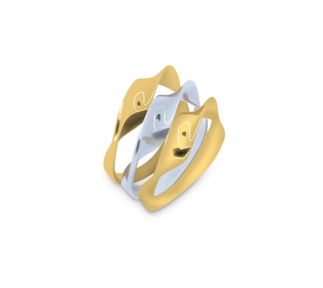 Δίχρωμο δαχτυλίδι σε κίτρινο και λευκό χρυσό (RI00181)