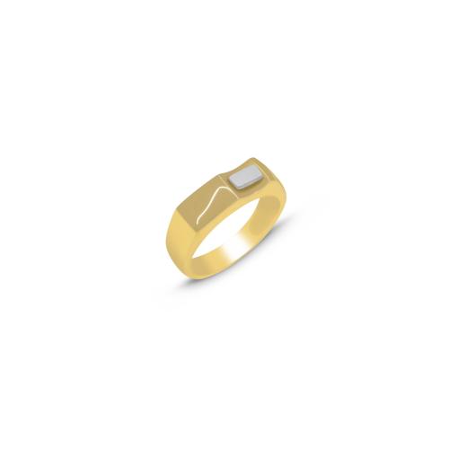 Ανδρικό δαχτυλίδι σε κίτρινο και λευκό χρυσό 14 καρατίων (RI00673)
