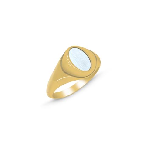 Ανδρικό δαχτυλίδι σε κίτρινο χρυσό 14 καρατίων (RI01203)